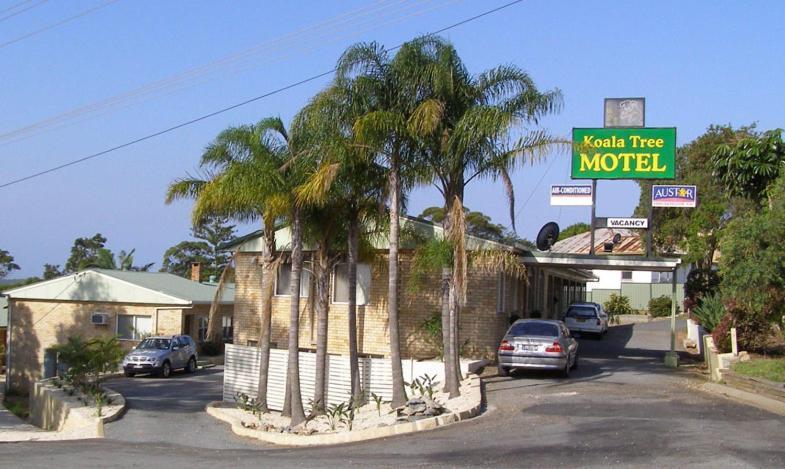 Koala Tree Motel ポート・マッコリー エクステリア 写真