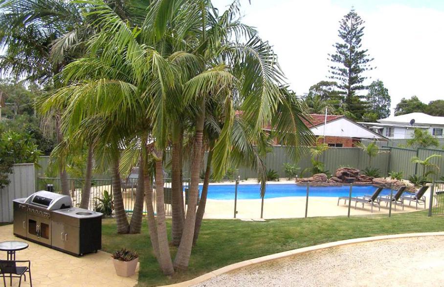 Koala Tree Motel ポート・マッコリー エクステリア 写真